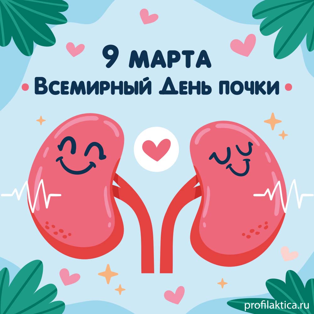 Почки_1.jpg (99 KB)